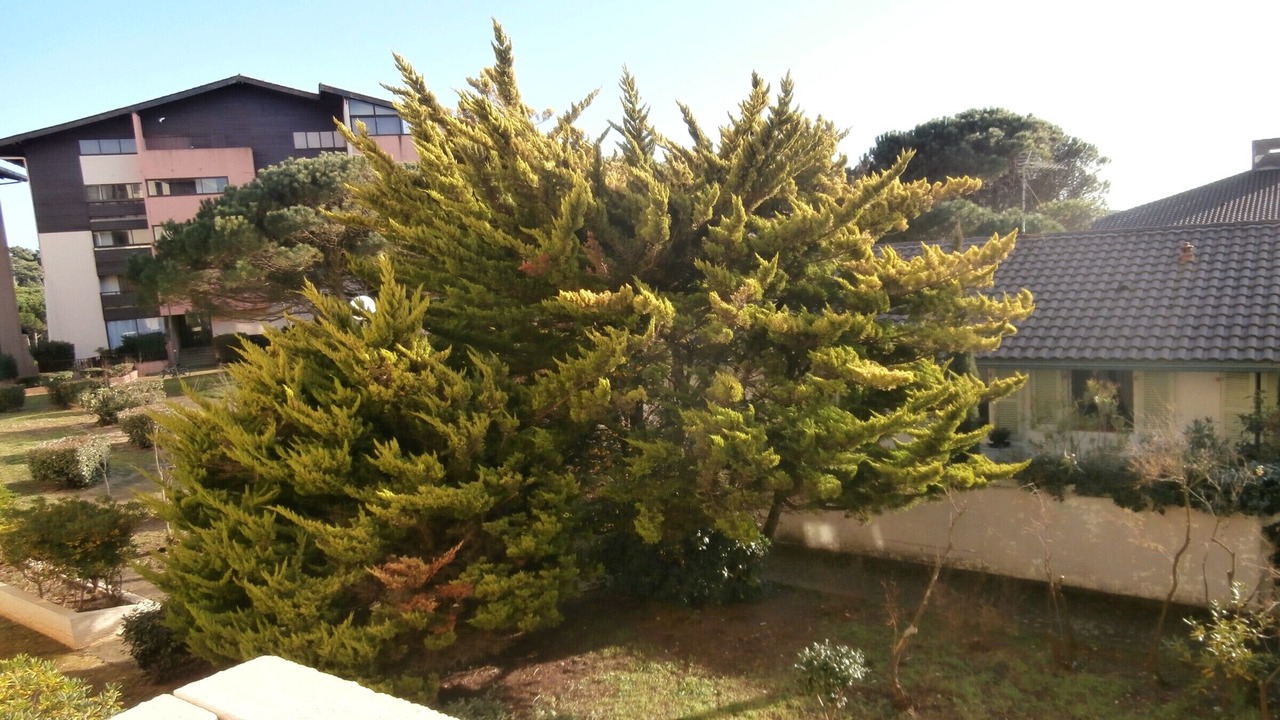 Photo of Outdoor in Le Penon