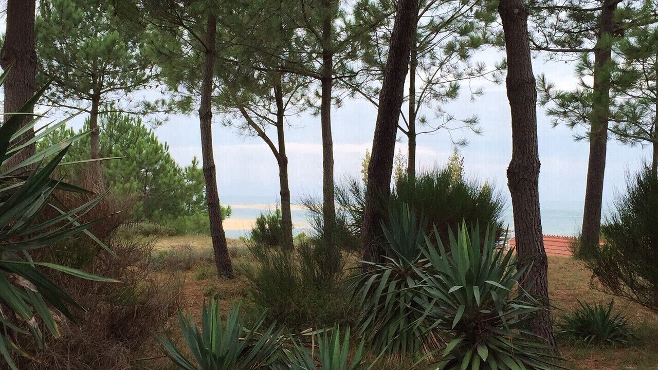 Photo of Outdoor in Pyla-sur-Mer