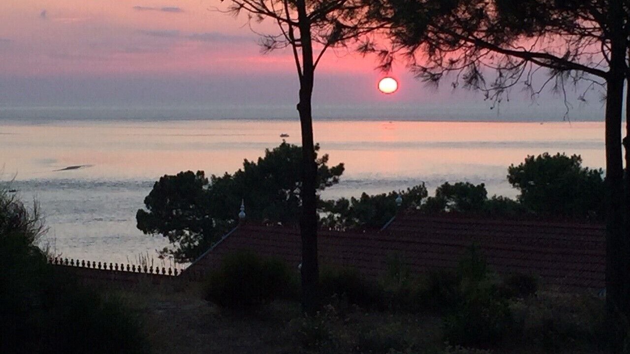 Photo of Others in Pyla-sur-Mer