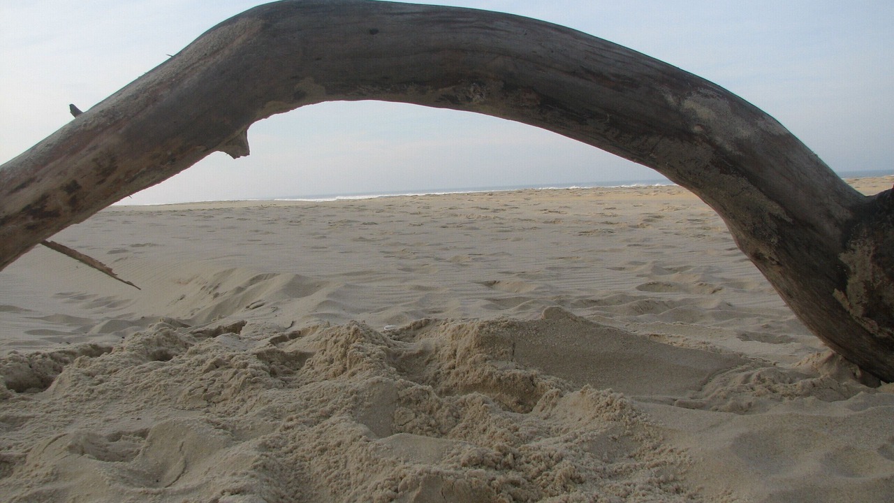 Photo of Others in Carcans Plage