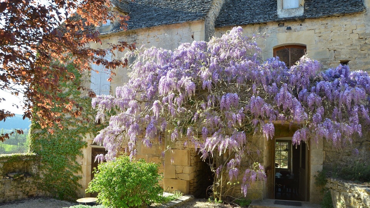 Photo of Outdoor in Cenac-et-Saint-Julien