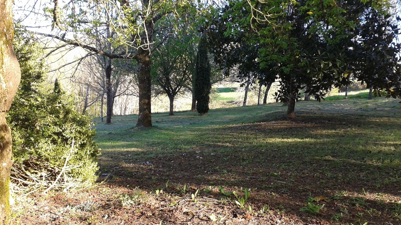 Photo of Outdoor in Condat-sur-Trincou