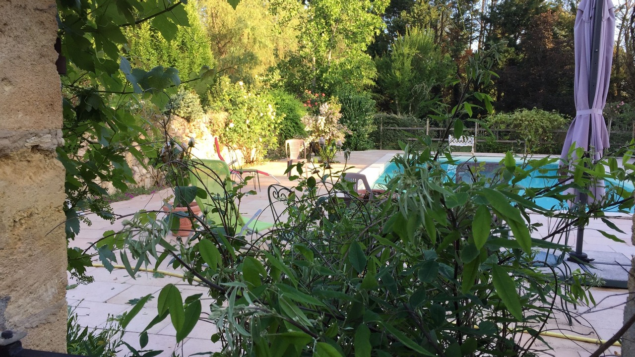 Photo of Outdoor in Saint-Savin