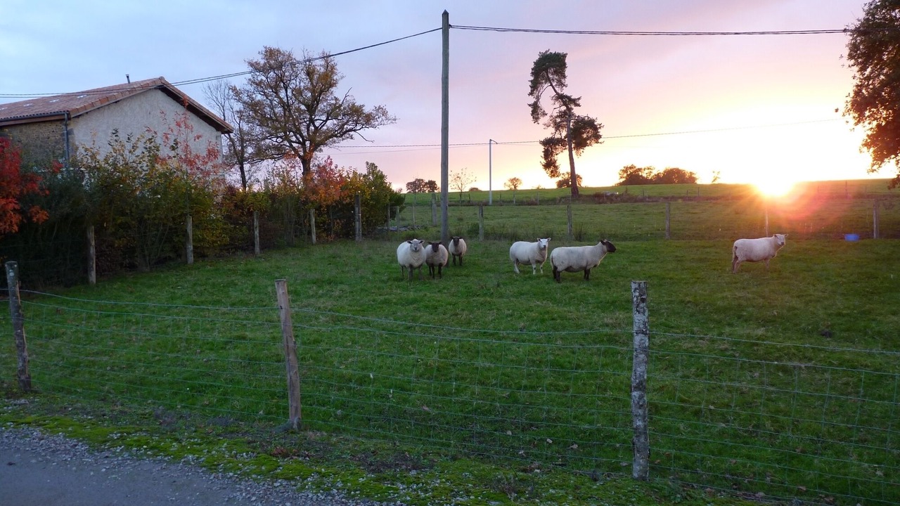 Photo of Outdoor in Ambernac
