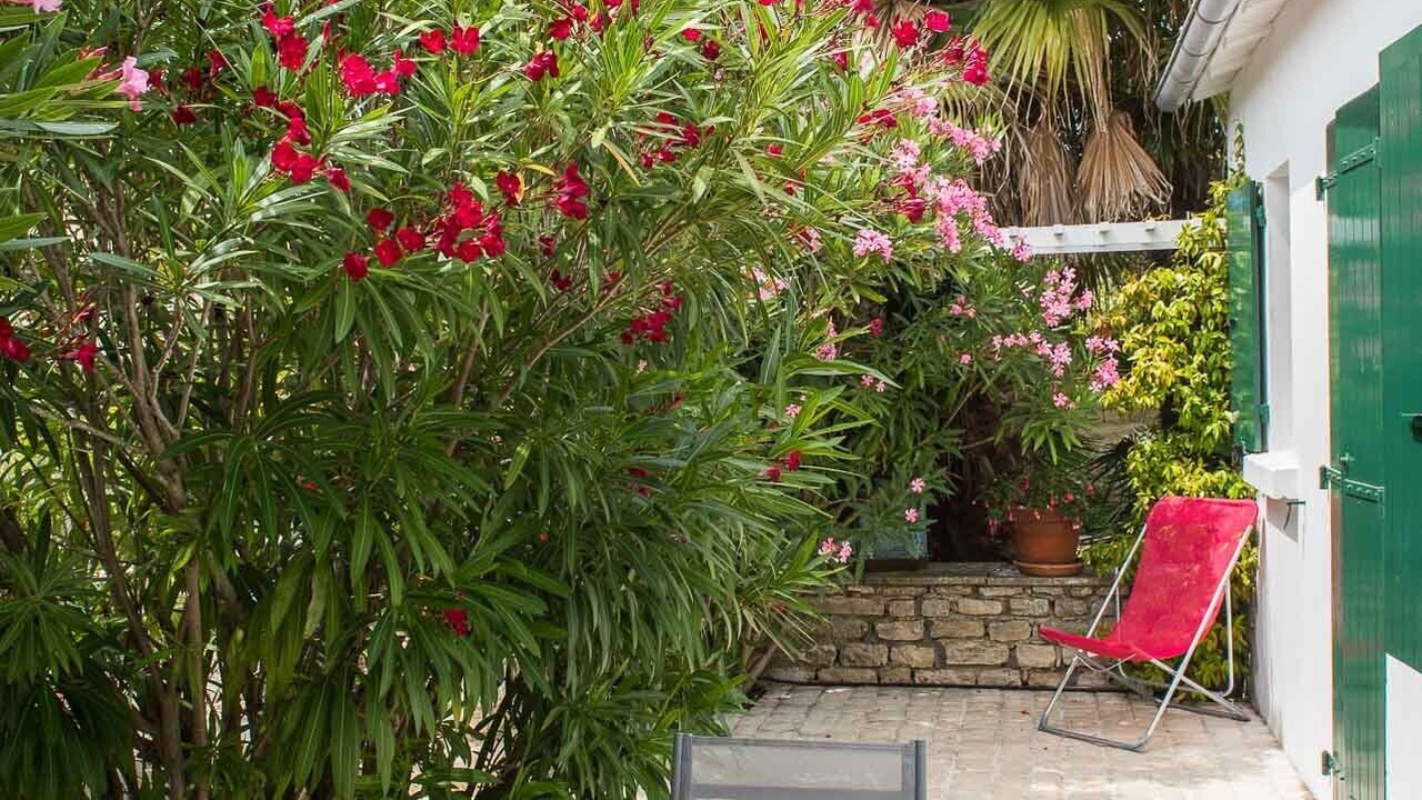 Photo of Outdoor in Le Bois-Plage-en-Re