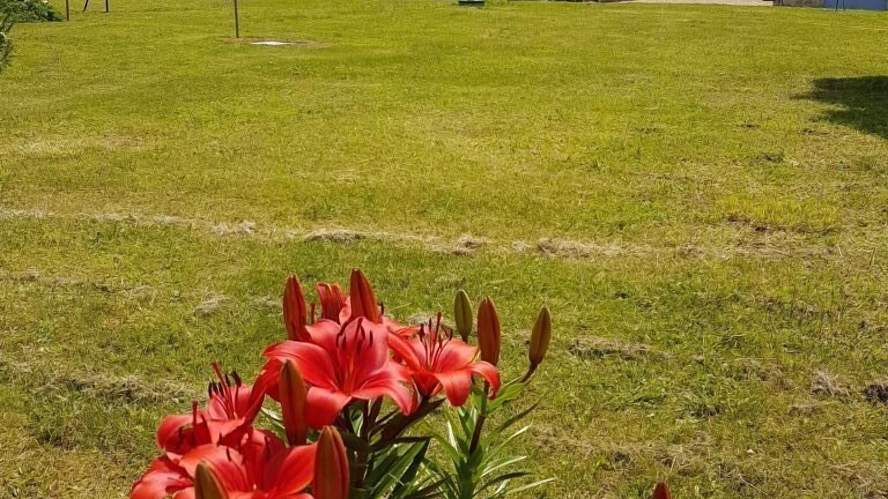 Photo of Outdoor in Tanzac