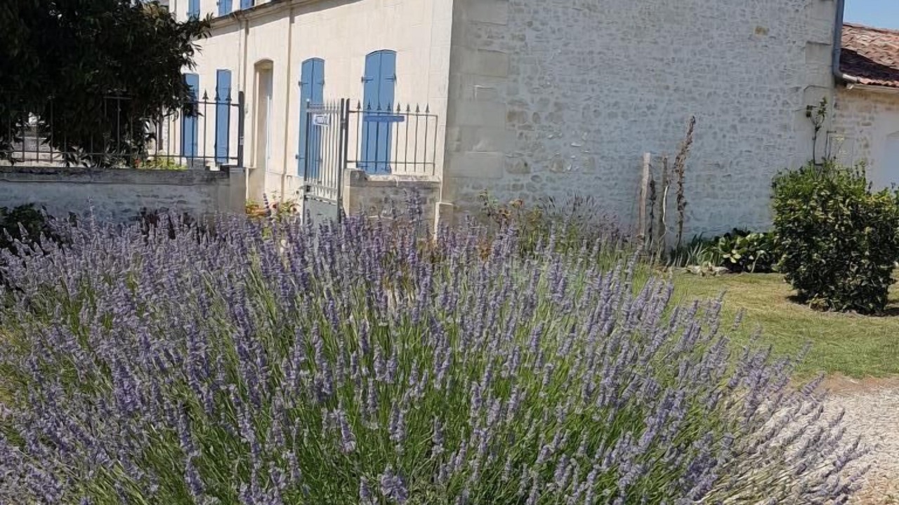 Photo of Outdoor in Tanzac
