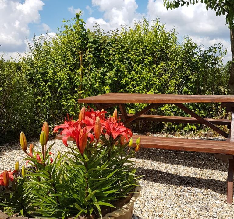Photo of Outdoor in Tanzac