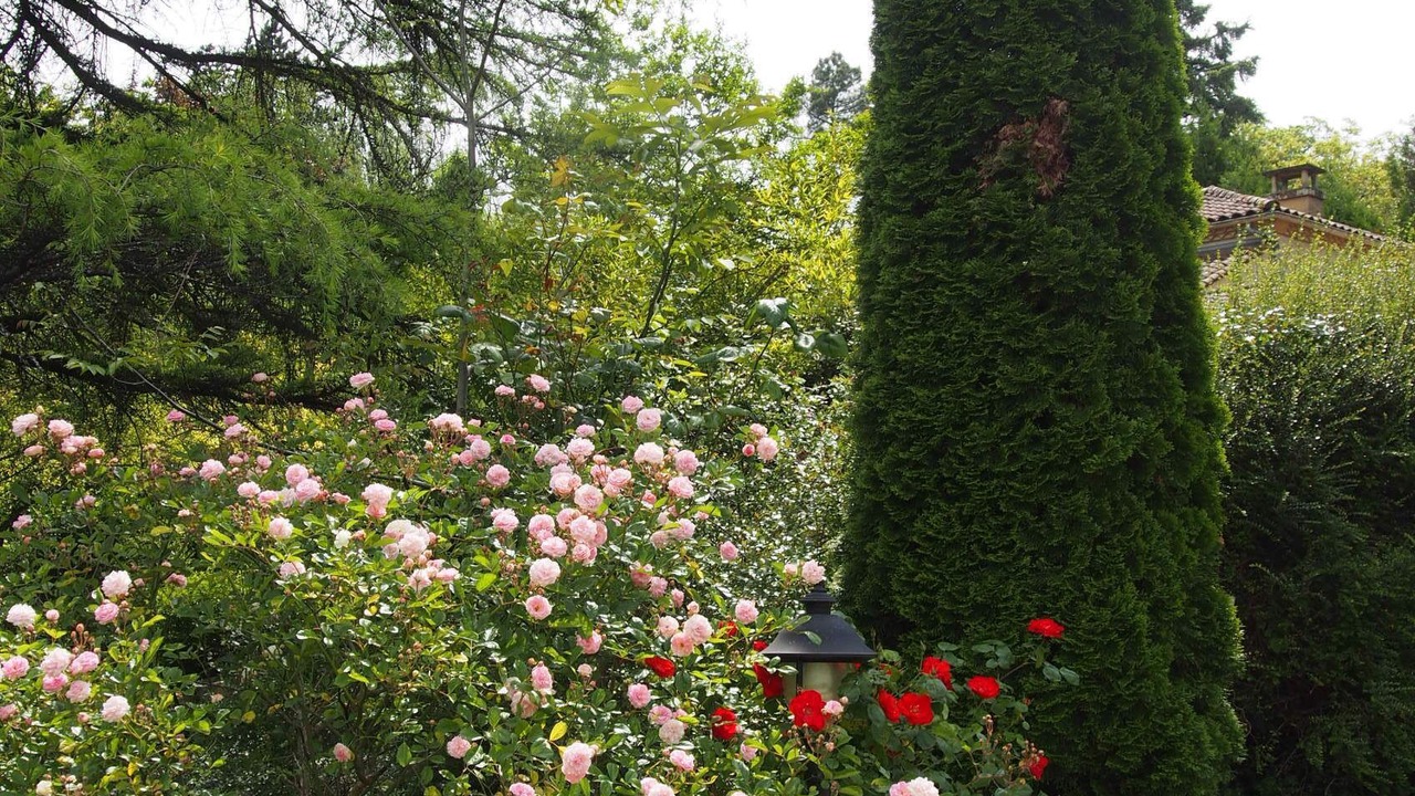 Photo of Outdoor in Sarlat-la-Caneda