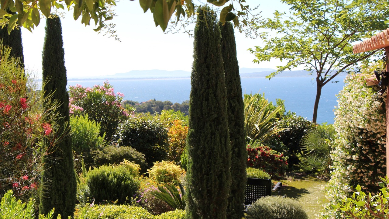 Photo of Outdoor in Carqueiranne