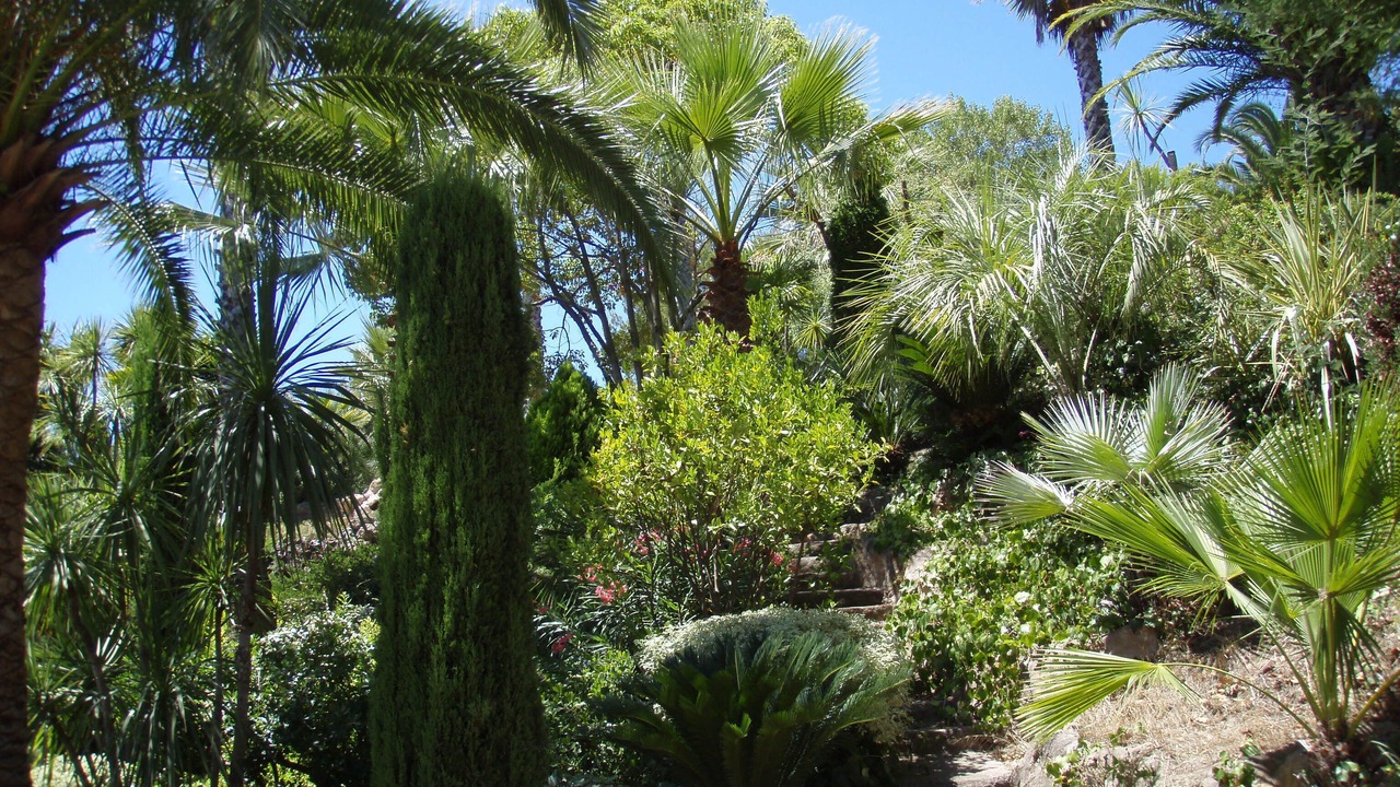 Photo of Outdoor in Carqueiranne