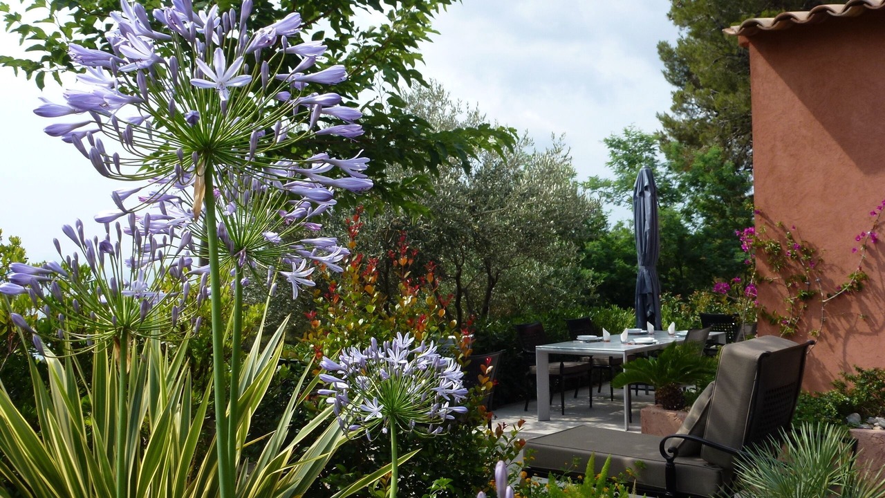 Photo of Outdoor in Carqueiranne