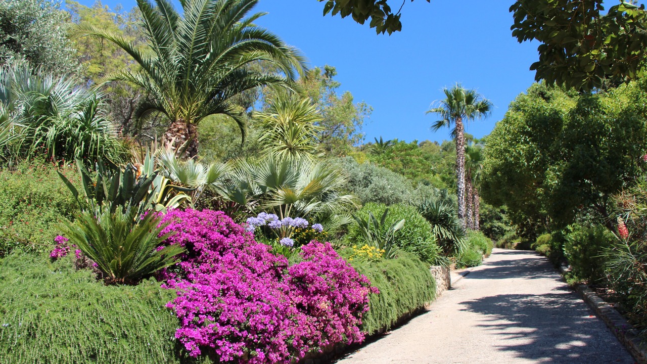 Photo of Outdoor in Carqueiranne