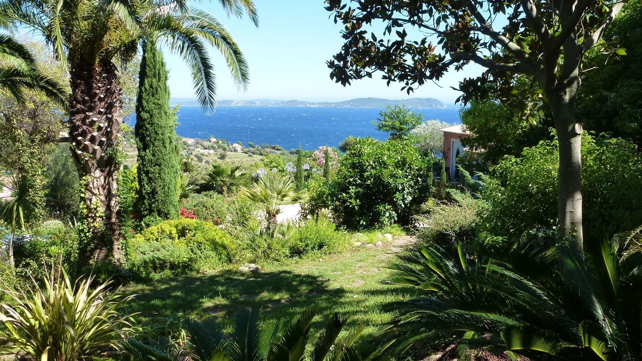 Photo of Outdoor in Carqueiranne