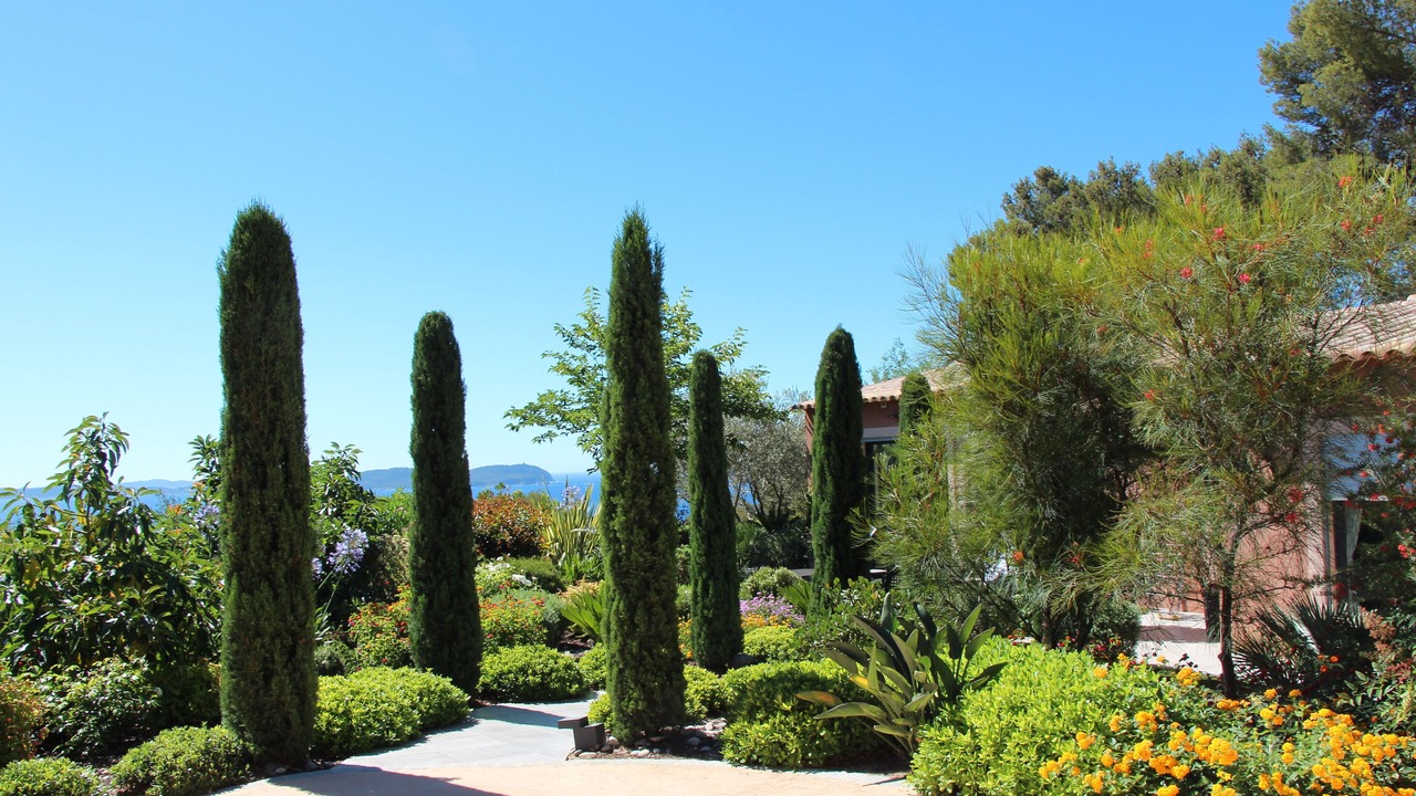 Photo of Outdoor in Carqueiranne