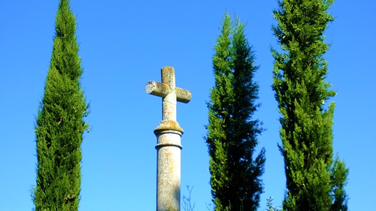 Photo of Others in Montmoreau-Saint-Cybard
