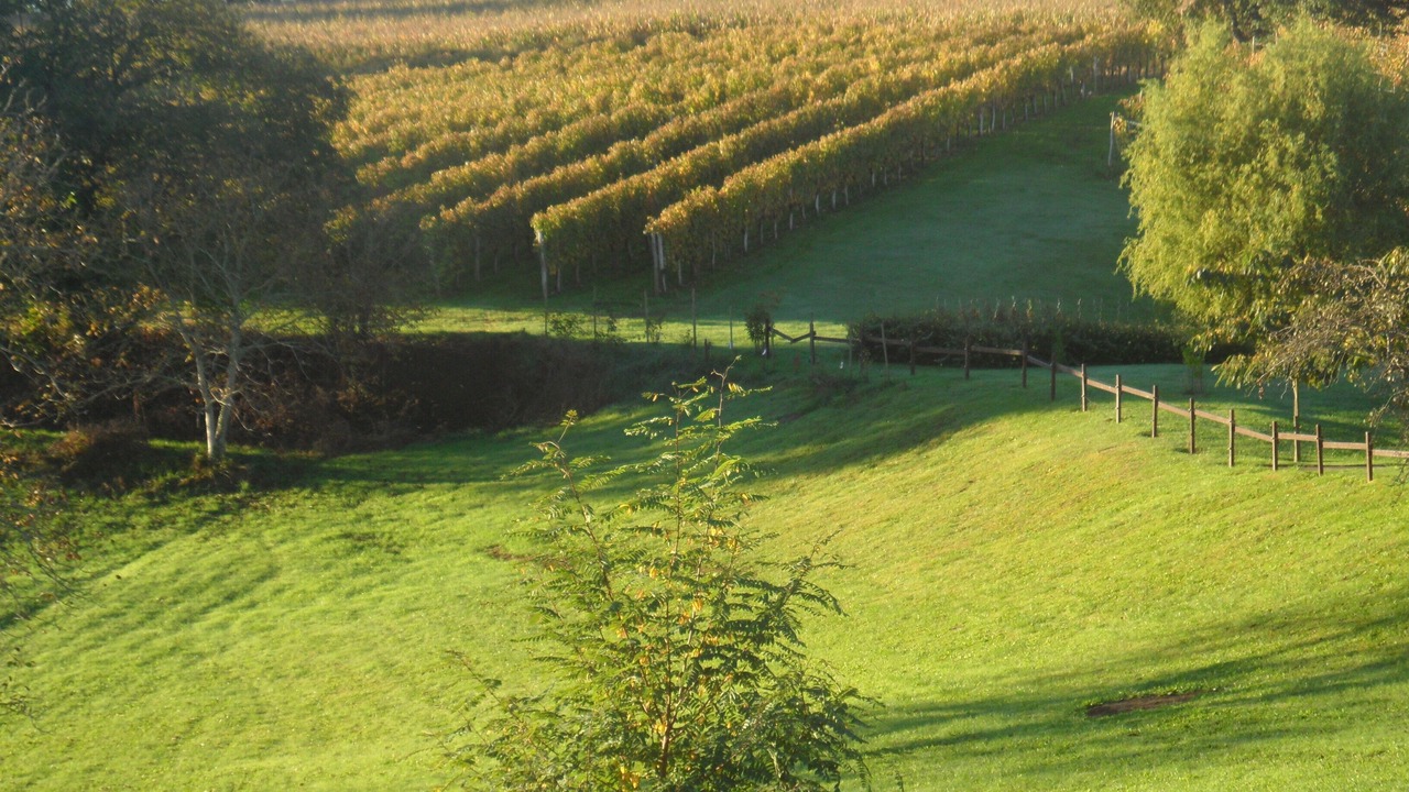 Photo of Outdoor in Monein