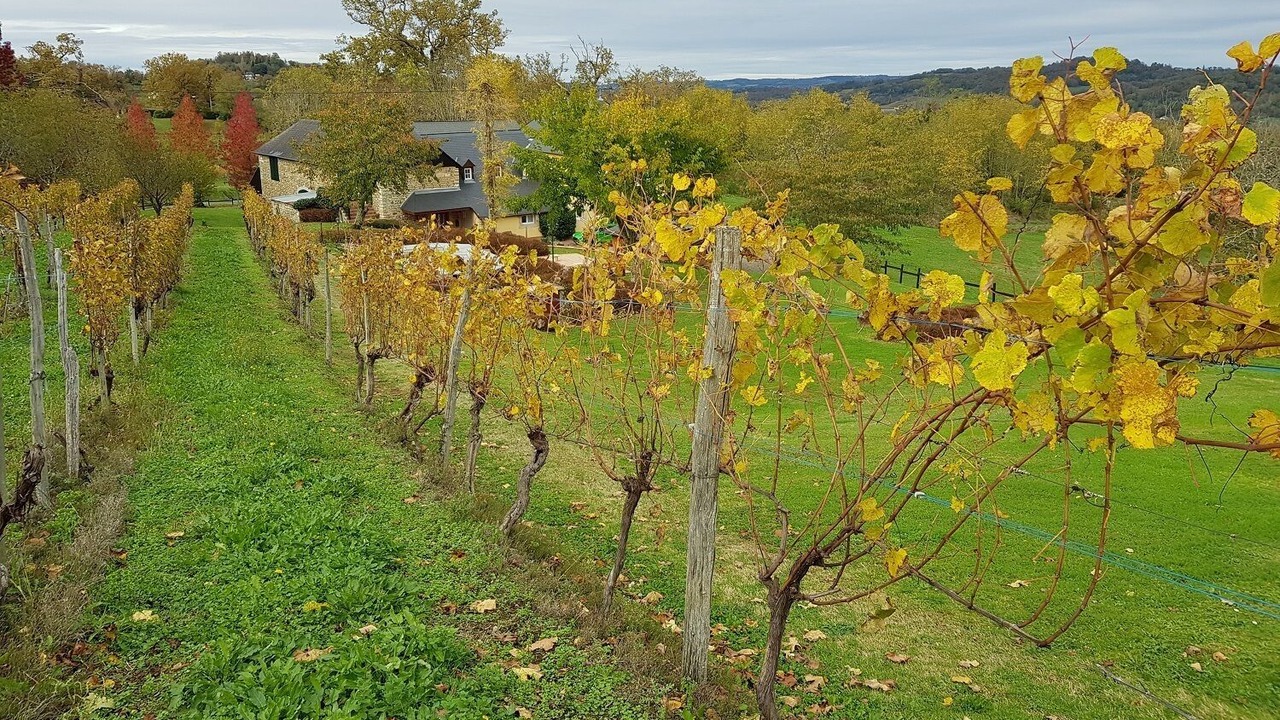Photo of Outdoor in Monein