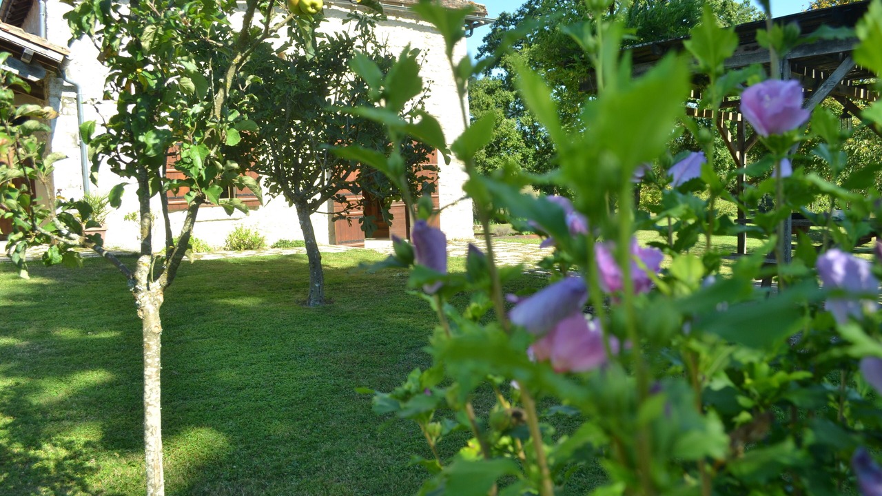 Photo of Outdoor in Saint-Martin-de-Fressengeas
