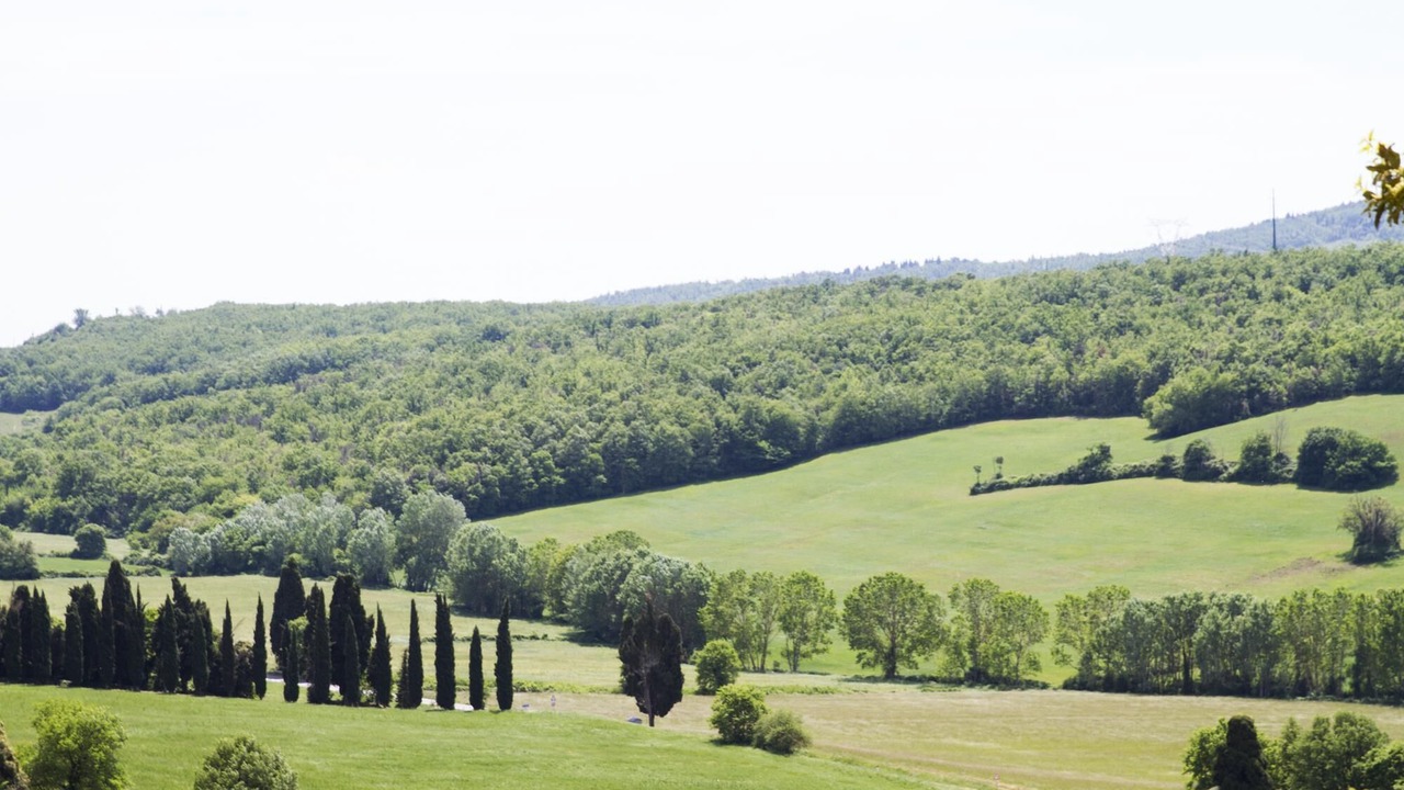 Photo of Others in Casole d'Elsa