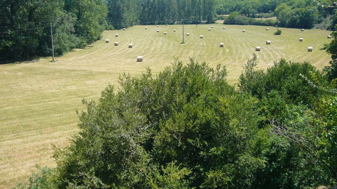 Photo of Others in Florimont-Gaumier