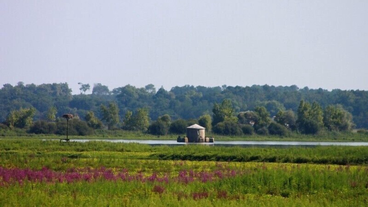 Photo of Outdoor in Orx