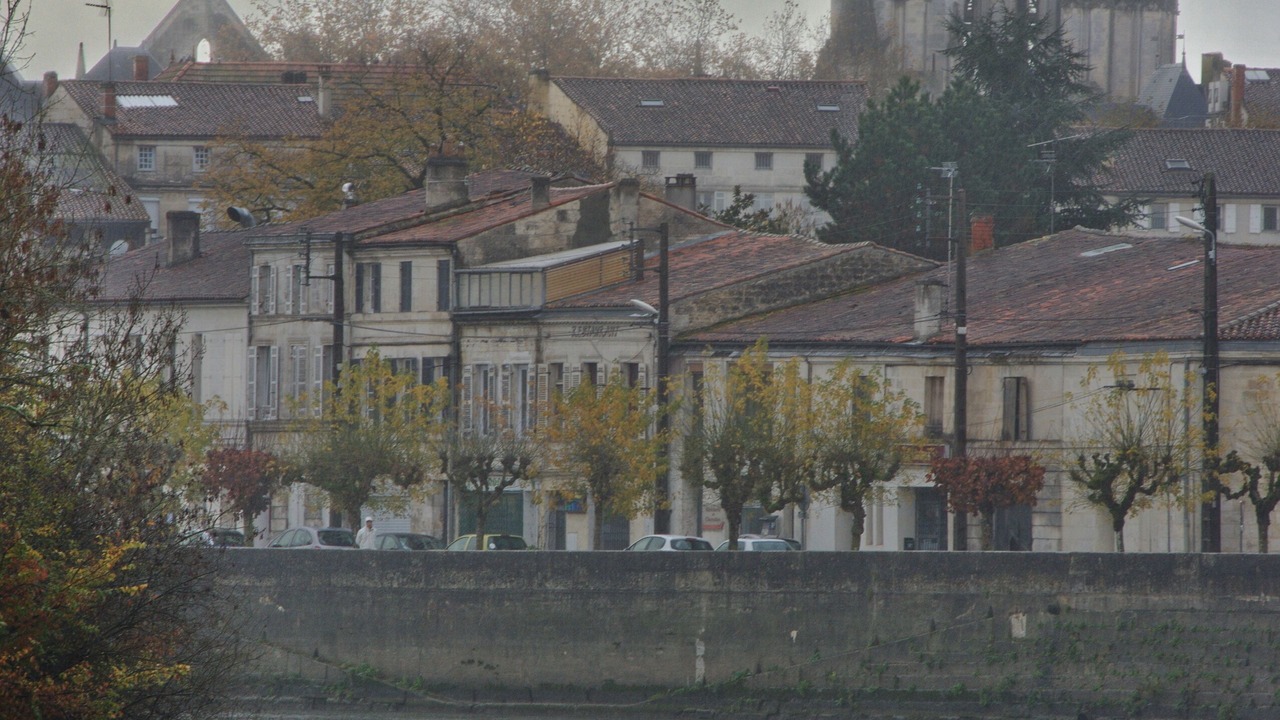 Photo of Others in Saintes