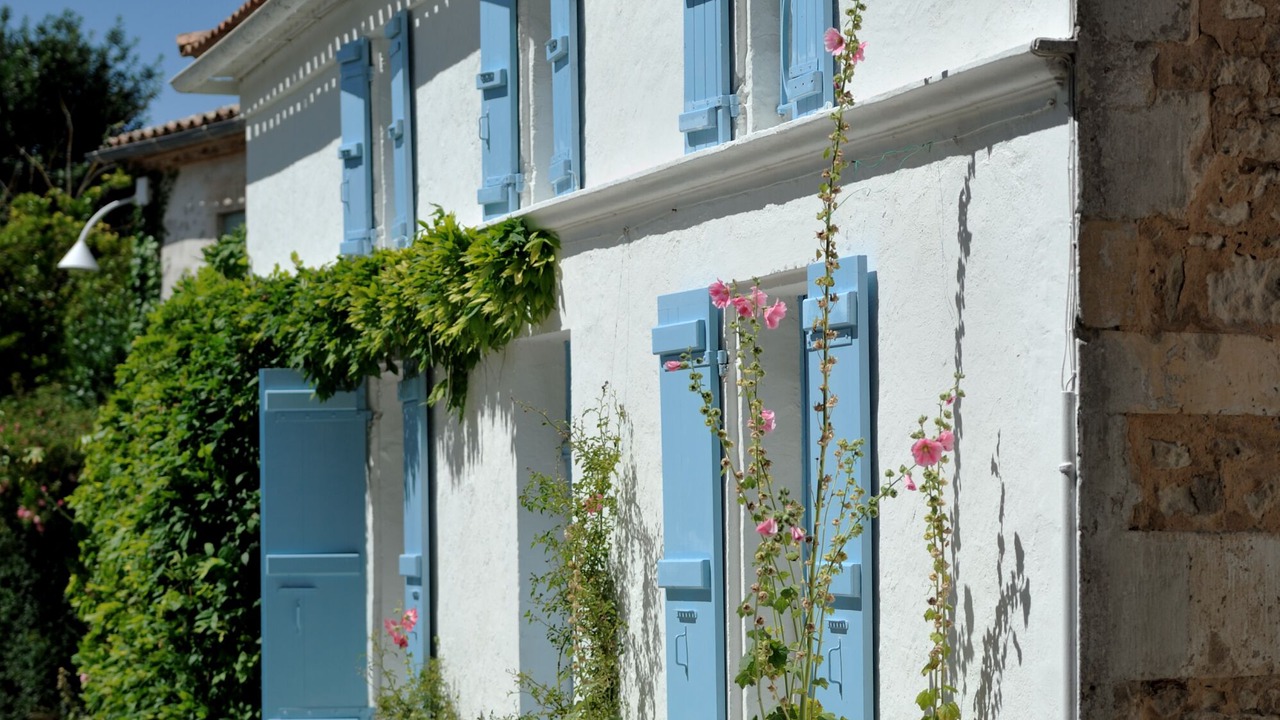 Photo of Outdoor in Saintes