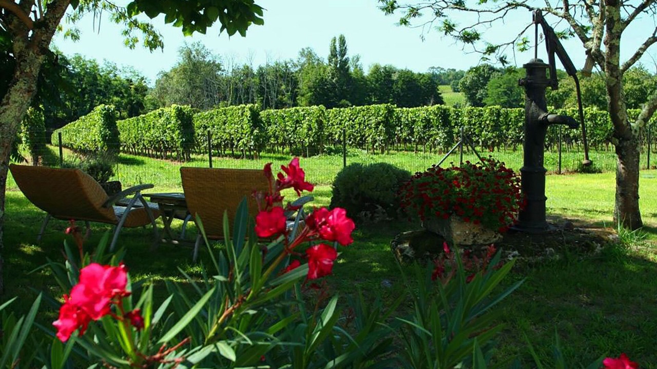 Photo of Outdoor in Les Salles-De-Castillon