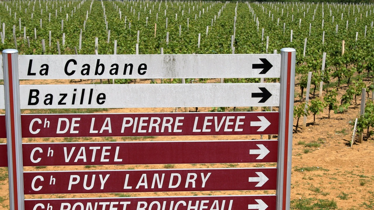 Photo of Others in Les Salles-De-Castillon