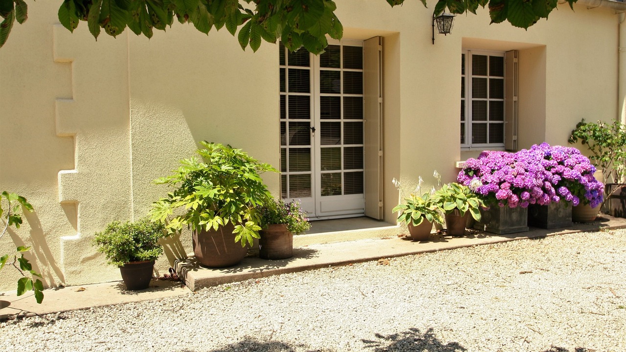 Photo of Outdoor in Les Salles-De-Castillon