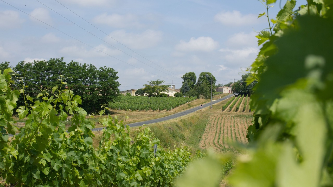 Photo of Others in Les Salles-De-Castillon