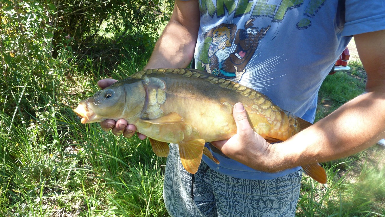 Photo of Outdoor in La Rochebeaucourt-et-Argentine