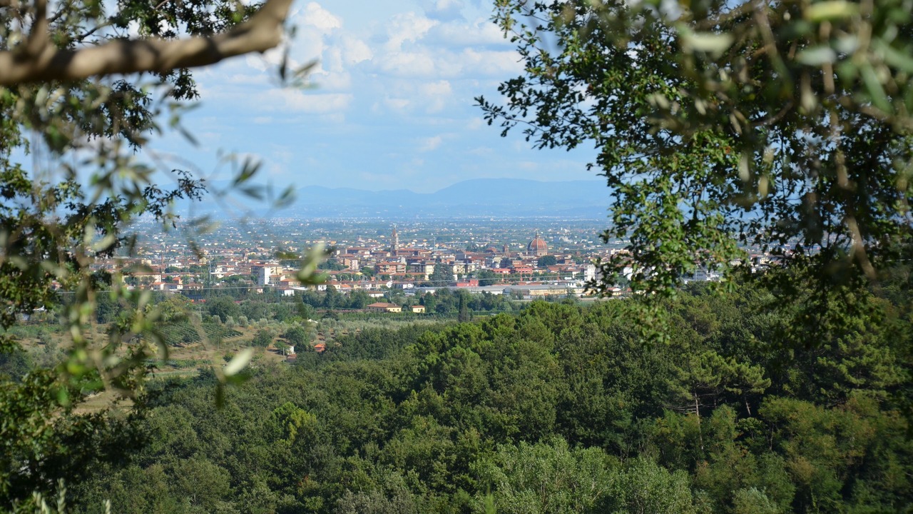 Photo of Others in Saturnana