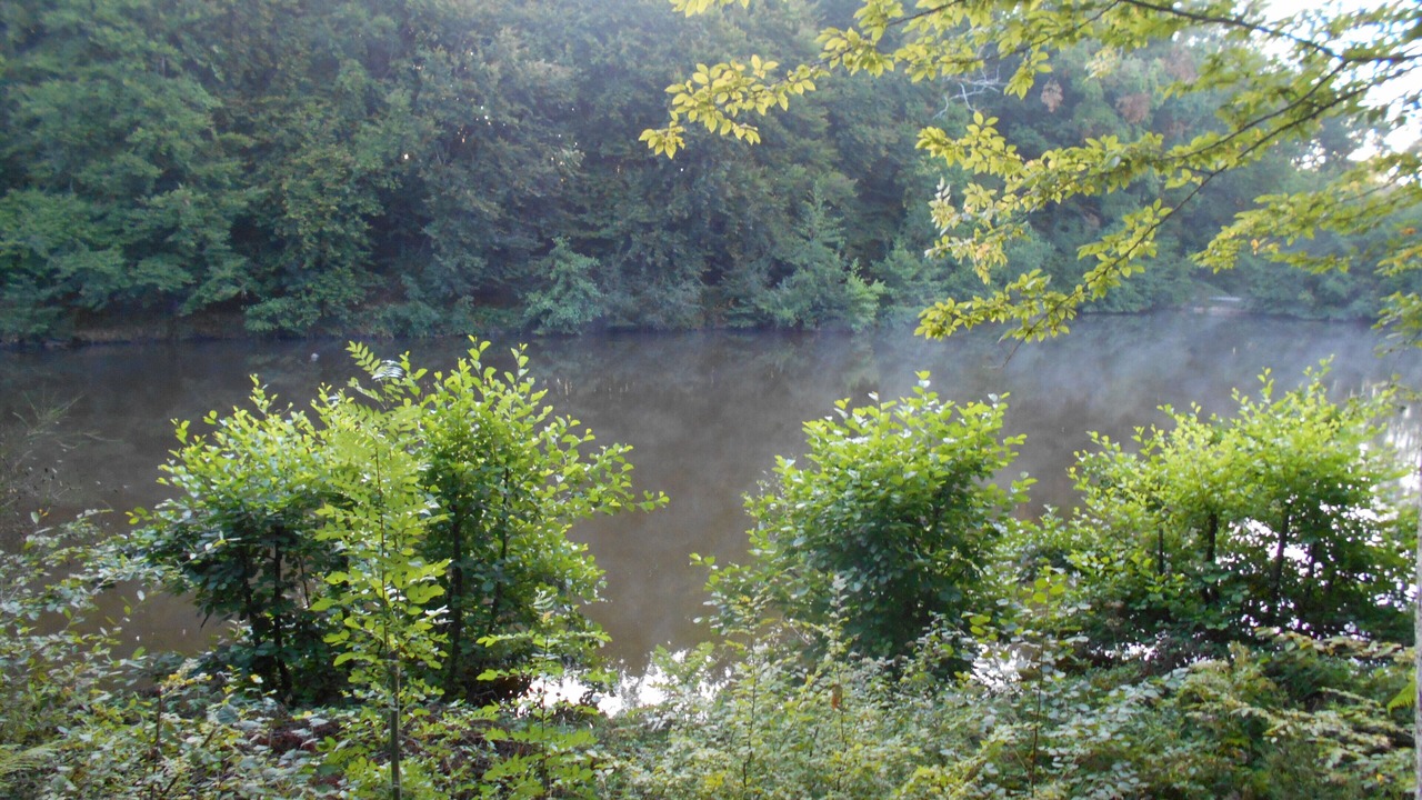 Photo of Outdoor in Beyssac