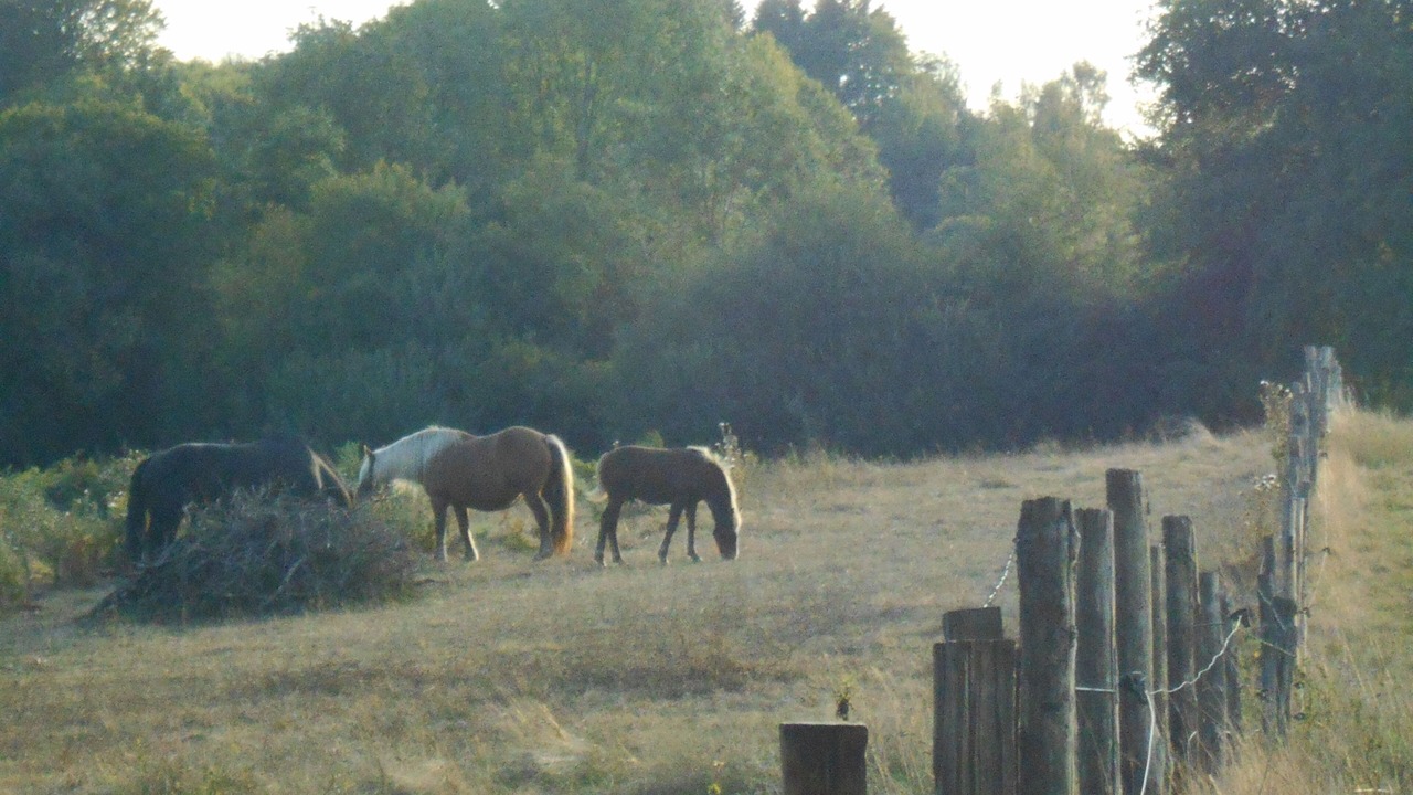 Photo of Outdoor in Beyssac