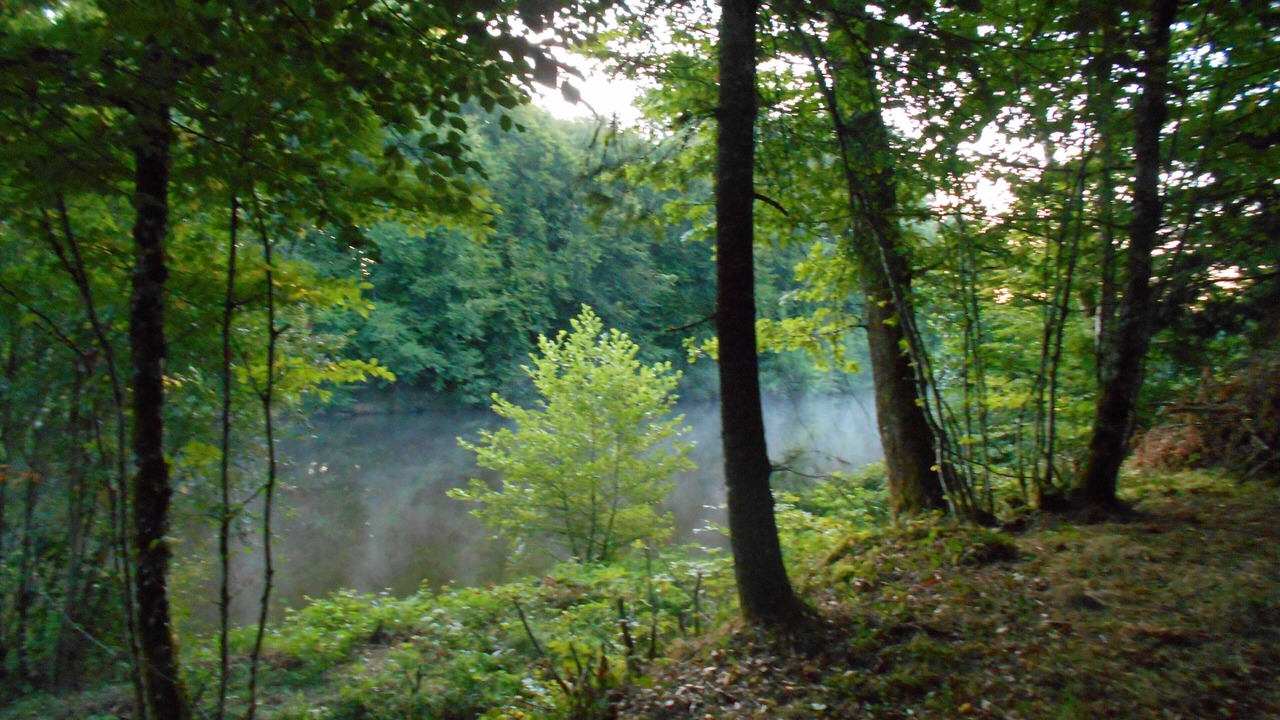 Photo of Outdoor in Beyssac
