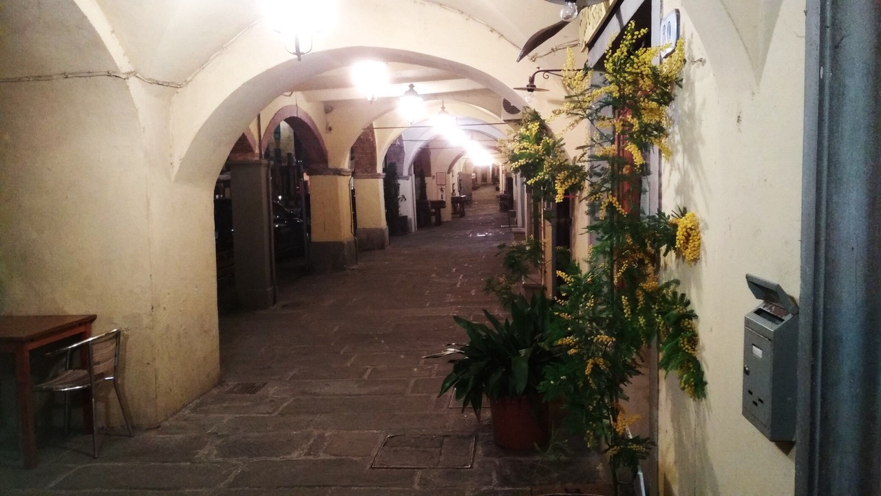 Photo of Others in Greve in Chianti