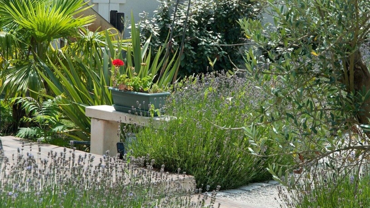 Photo of Outdoor in Rioux