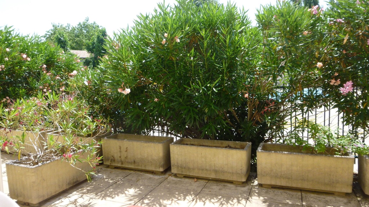 Photo of Outdoor in La Rochelle