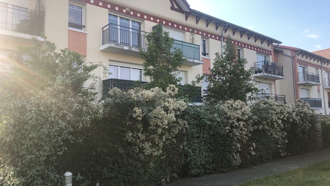 Photo of Outdoor in Gujan-Mestras