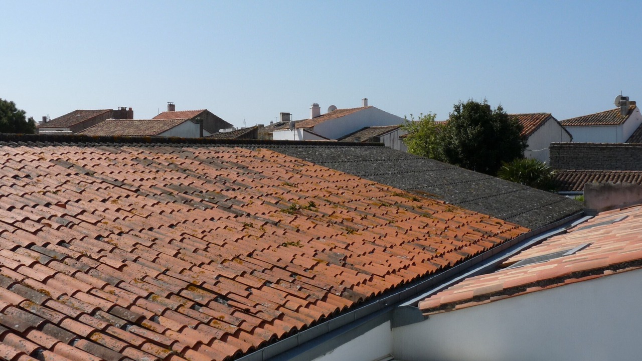 Photo of Others in Saint-Clement-des-Baleines