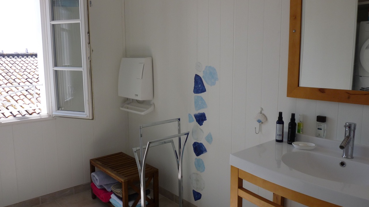Photo of Bathroom in Saint-Clement-des-Baleines
