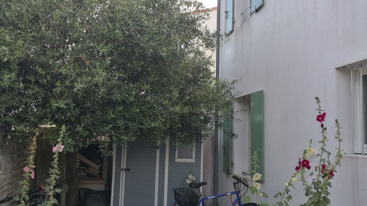 Photo of Outdoor in Saint-Clement-des-Baleines