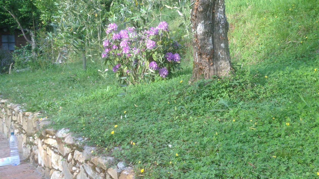 Photo of Outdoor in Montemagno