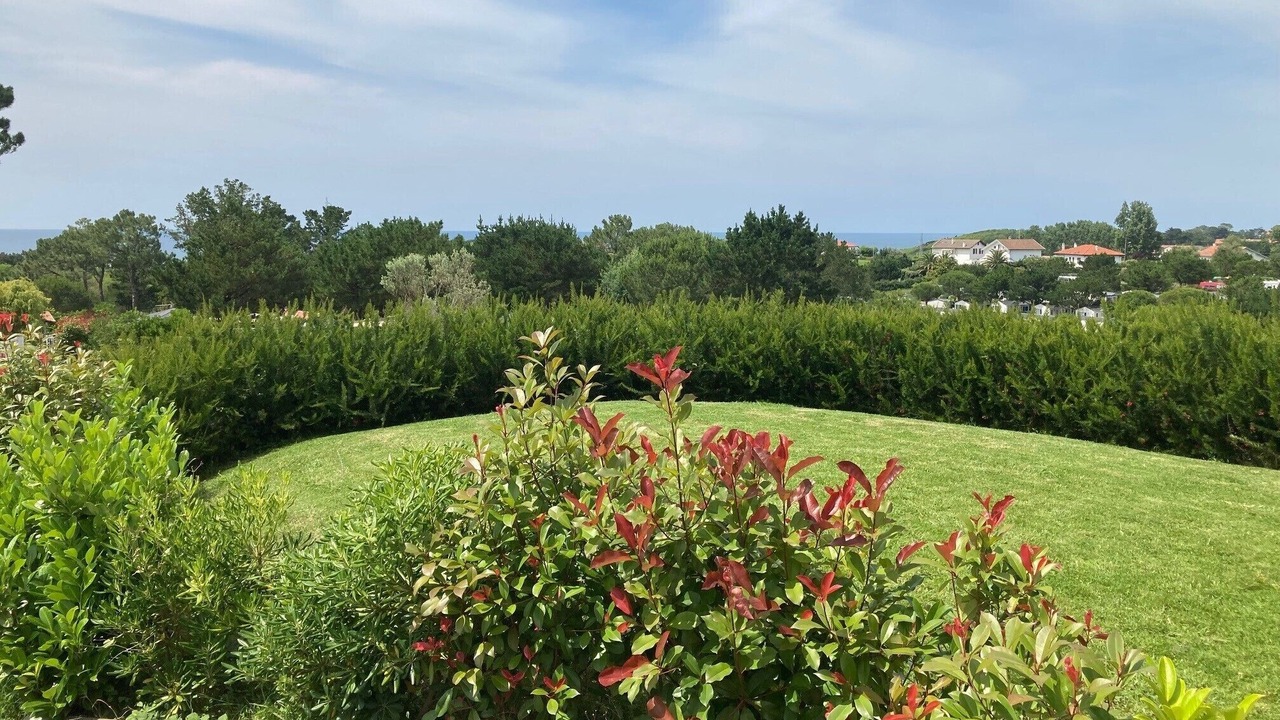 Photo of Outdoor in Kokotia