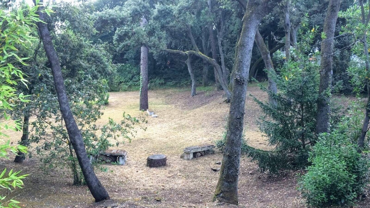 Photo of Outdoor in Pontaillac