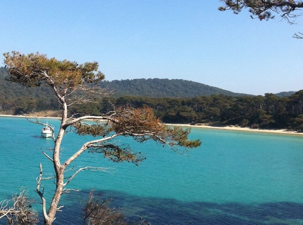 Photo of Others in Porquerolles