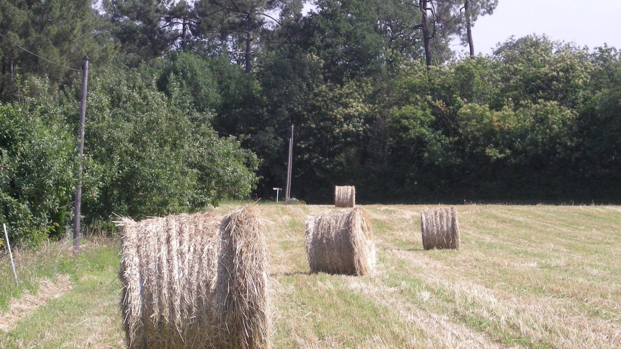 Photo of Outdoor in Saint-Romain-de-Monpazier