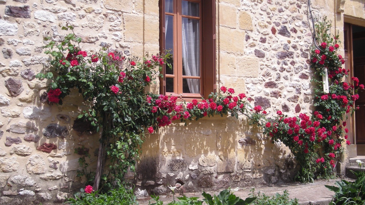 Photo of Outdoor in Saint-Romain-de-Monpazier